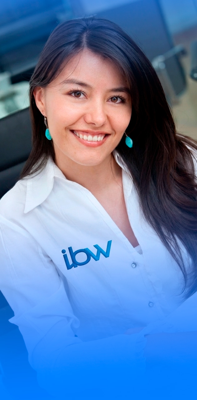 Modelo web